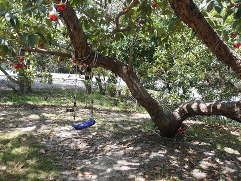Frenchmans Folly - Accommodation Georgetown 2