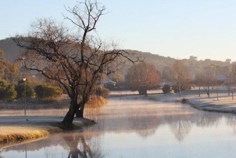 FROGGIES HOLIDAY HOUSE - Accommodation Georgetown 1
