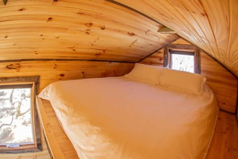 Geelong Tiny House - Accommodation Georgetown 2