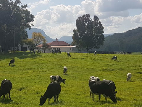 Glenmurray - Country Farm Stay! - Accommodation Georgetown 0