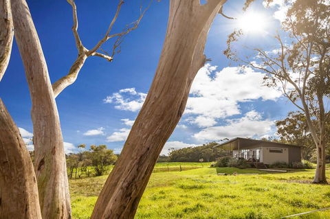 Glenworth Valley Outdoor Adventures - Accommodation Georgetown 1