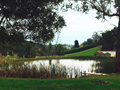 Gracefield Estate - Accommodation Georgetown 0