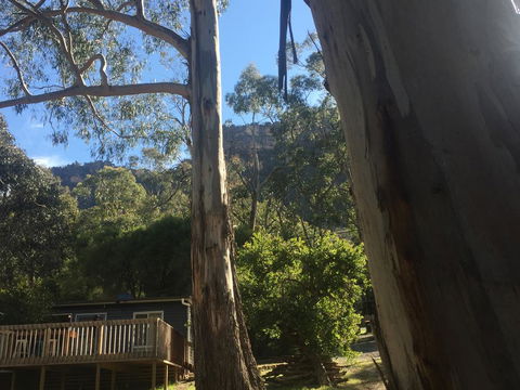 Grampians Nest - Accommodation Georgetown 0