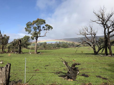 Grampians Old Man Emu Stay - Accommodation Georgetown 2