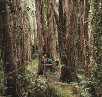 Habitat Noosa - Accommodation Georgetown