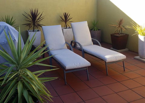 High On Penguin - Accommodation Georgetown 1
