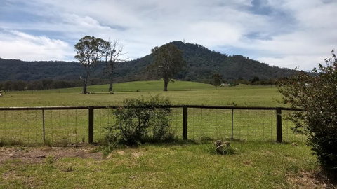 Hollyhill Cottage - Accommodation Georgetown 0