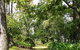 Hollyhill Cottage - thumb 3
