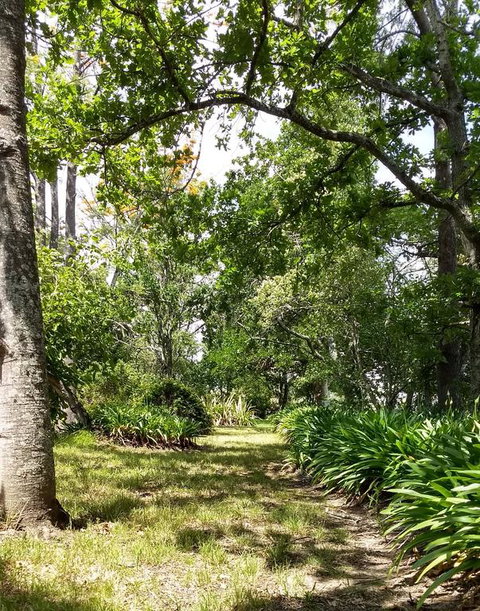 Hollyhill Cottage - Accommodation Georgetown 3