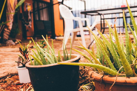 JJs Backpackers Hostel - Accommodation Georgetown 2