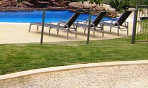 Koala Tree Motel - Accommodation Georgetown 3