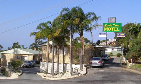 Koala Tree Motel - Accommodation Georgetown 1