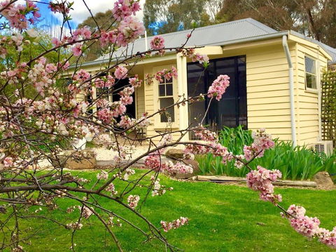 Koovelly Garden Studio - Accommodation Georgetown 2