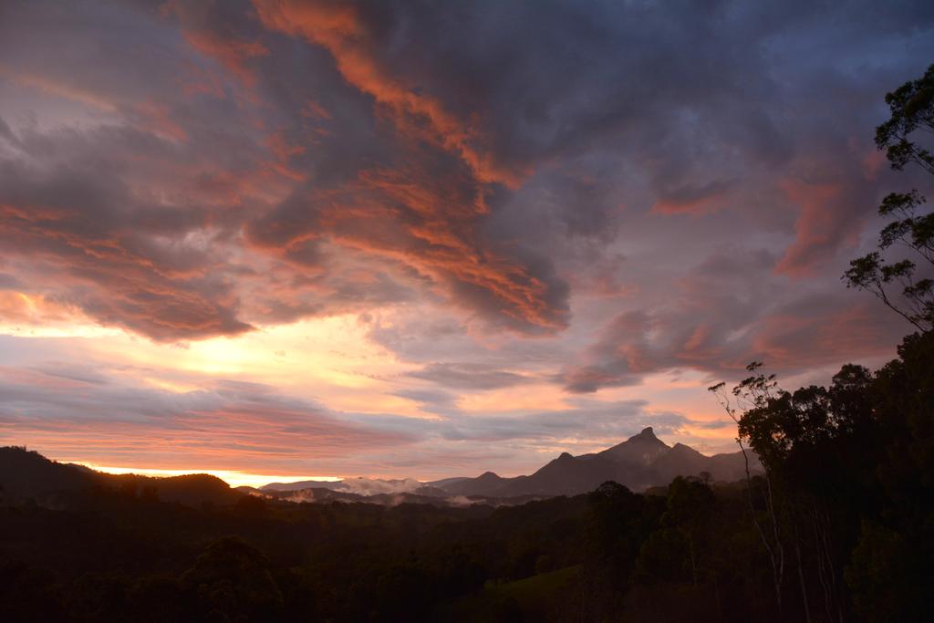 Smiths Creek NSW Accommodation Georgetown