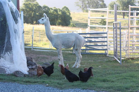 Lenoroc - Accommodation Georgetown 1