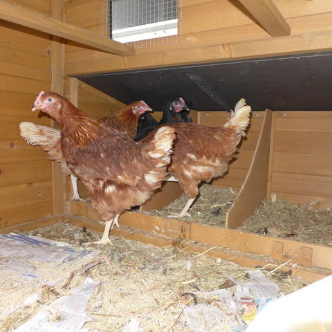 Lenoroc - Accommodation Georgetown 3