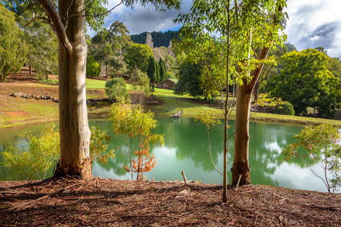 Lewana Cottages - Accommodation Georgetown 1