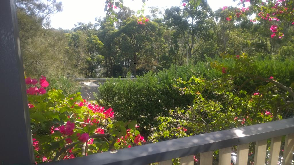 Linley Point NSW Accommodation Georgetown