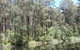 Lyrebird Gully Retreat - thumb 2