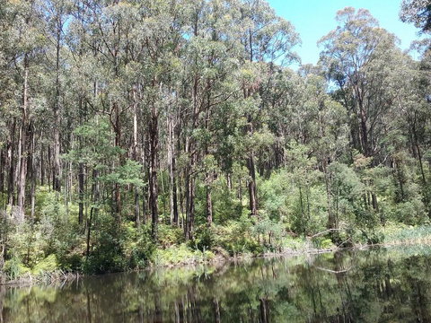 Lyrebird Gully Retreat - Accommodation Georgetown 2
