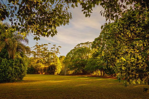 Malanda Lodge - Accommodation Georgetown 1