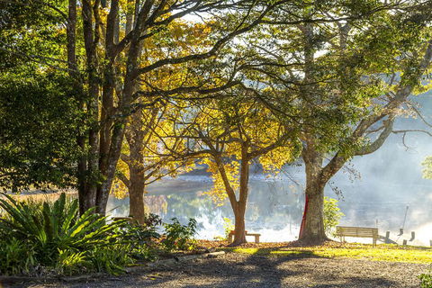 Maleny Lake Cottages-Guesthouse - Accommodation Georgetown 2