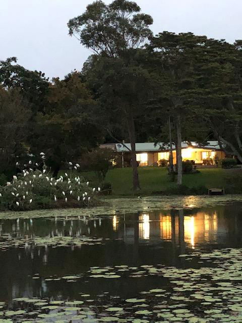 Maleny Lake Cottages-Guesthouse - Accommodation Georgetown 3