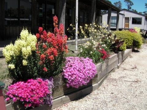 Mansfield Holiday Park - Accommodation Georgetown 3