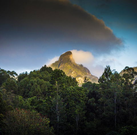 Mavis's Cabins @ Mt Warning - Accommodation Georgetown 1