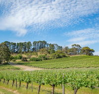 McLaren Vale Getaways - Accommodation Georgetown