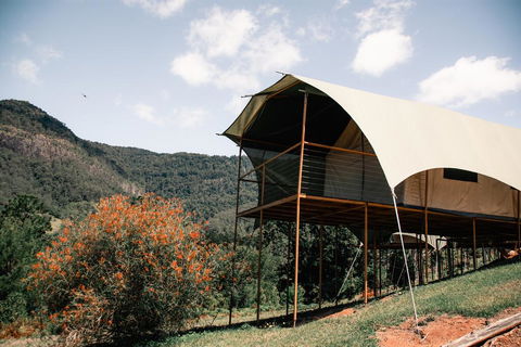 Midginbil Eco Resort - Accommodation Georgetown 0