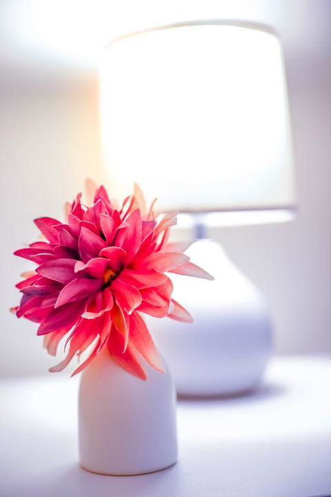 Modern Comfy Apartment@Southern Cross - Accommodation Georgetown 3