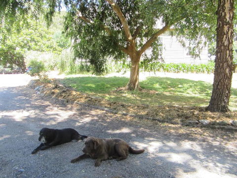 Molenda Lodge Farm Let - Accommodation Georgetown 3