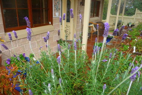 Mountain Escape - Accommodation Georgetown 2
