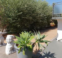 Mt.Lawley superb 2 BR Apartment Ideally located 5 - Accommodation Georgetown
