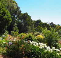 Murrindindi - Accommodation Georgetown
