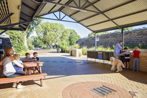 Discovery Parks - Woodman Point - Accommodation Georgetown 32