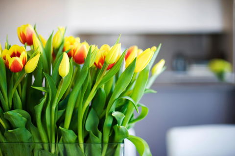 Claremont Quarter Luxury Apartment - Accommodation Georgetown 11