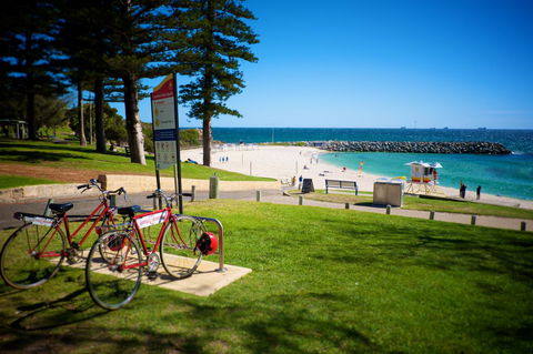 Cottesloe Artist's Beach Retreat - Accommodation Georgetown 15