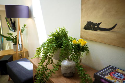 Cottesloe Artist's Beach Retreat - Accommodation Georgetown 26