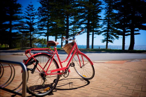 Cottesloe Artist's Beach Retreat - Accommodation Georgetown 31