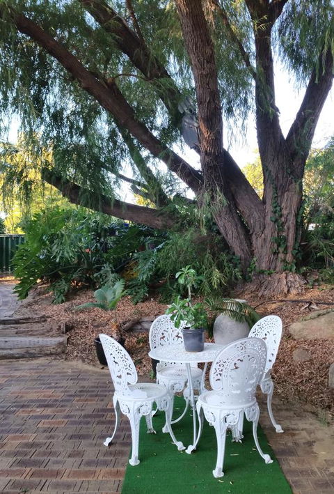 Jacaranda Hideaway Bed & Breakfast - Accommodation Georgetown 15