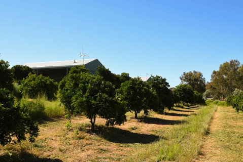 Swan Valley Sisters - Accommodation Georgetown 29