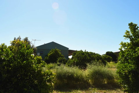 Swan Valley Sisters - Accommodation Georgetown 27