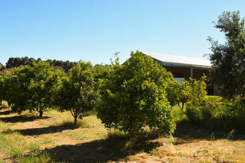 Swan Valley Sisters - Accommodation Georgetown 30