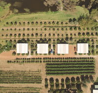 Swan Valley Sisters - Accommodation Georgetown