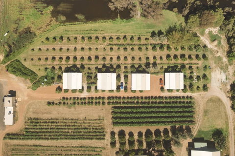 Swan Valley Sisters - Accommodation Georgetown 0