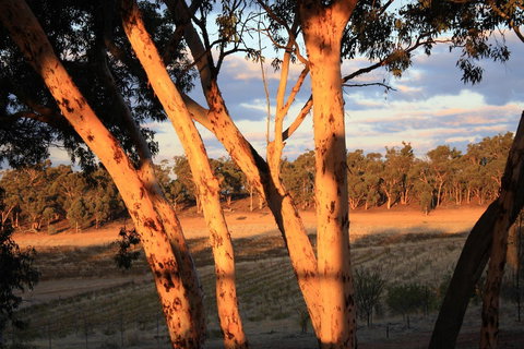 Hotham Ridge Estate - Accommodation Georgetown 30