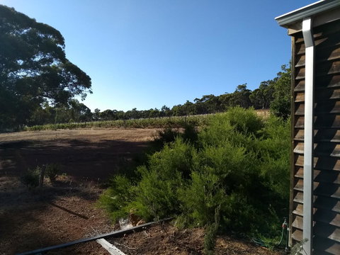 Hotham Ridge Estate - Accommodation Georgetown 15