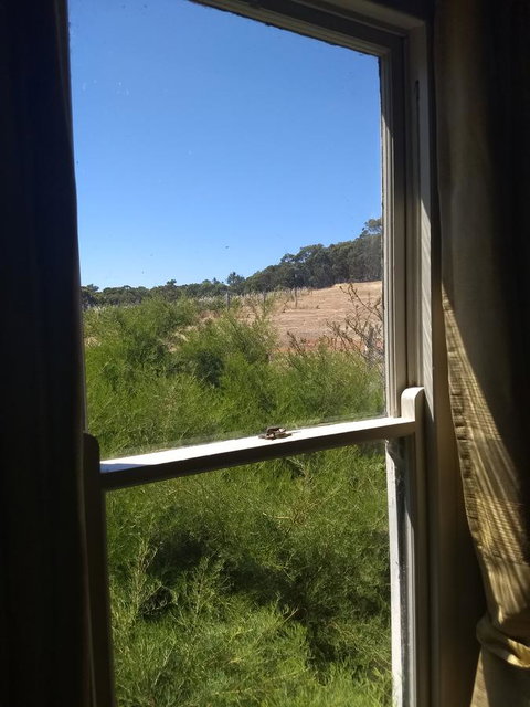 Hotham Ridge Estate - Accommodation Georgetown 8